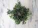 5' faux boxwood candle ring mini wreath , 2 inch center , Floral arranging supply artificial plastic wedding greenery 