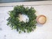 8' faux boxwood candle ring wreath ,  Floral arranging supply , artificial plastic wedding greenery 4.5 inch center 