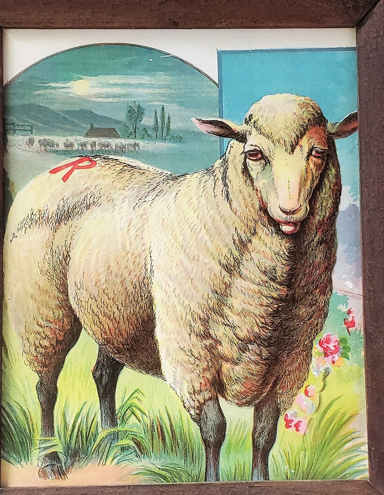 Vintage Antique Sheep Print Framed Lithograph Print Picture Etsy
