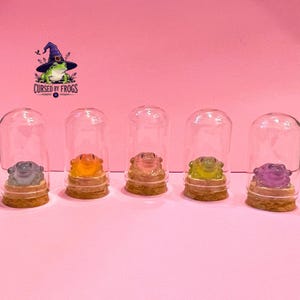 Mystery Mini Resin Frog Desk Buddy: Lucky Jar Pet