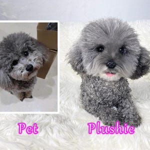 Custom Life Like Dog Plushie Clone