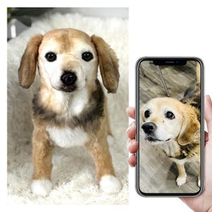 Custom Life Like Dog Plushie Clone