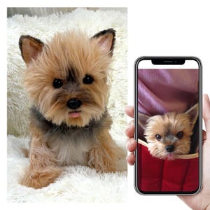 Custom Life Like Dog Plushie Clone
