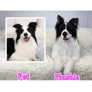 Custom Life Like Dog Plushie Clone