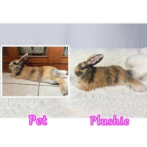 Custom Life Like Pet Plush, Personalized Rabbit Plush Clone