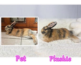 Custom Life Like Pet Plush, Personalized Rabbit Plush Clone