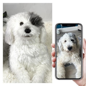 Custom Life Like Dog Plushie Clone