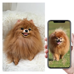 Custom Life Like Dog Plushie Clone