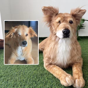 Custom Life Like Dog Plushie Clone