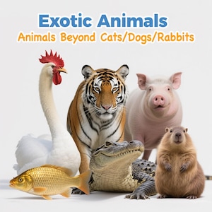 Exotic Animals : Animals Beyond Cats/Dogs/Rabbits