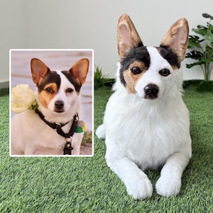 Custom Life Like Dog Plushie Clone