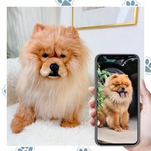 Custom Life Like Dog Plushie Clone