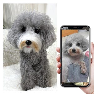 Custom Life Like Dog Plushie Clone