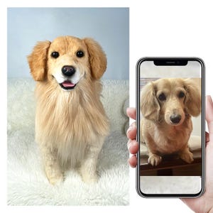 Custom Life Like Dog Plushie Clone
