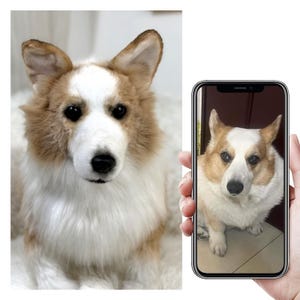 Custom Life Like Dog Plushie Clone