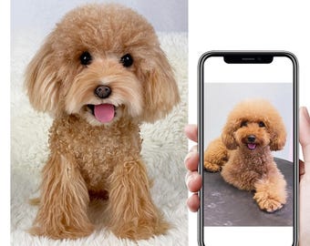 Custom Life Like Dog Plushie Clone