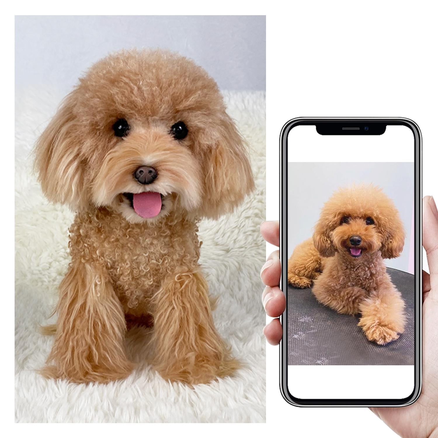 Custom Life Like Dog Plushie Clone