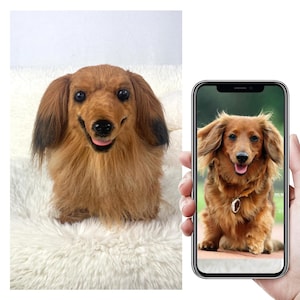 Custom Life Like Dog Plushie Clone