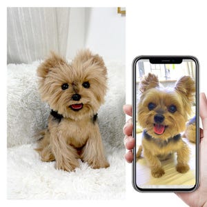 Custom Life Like Dog Plushie Clone