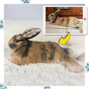 Custom Life Like Dog Plushie Clone