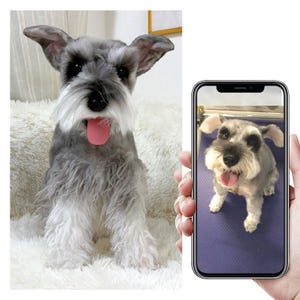 Custom Life Like Dog Plushie Clone