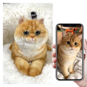 Custom Life Like Dog Plushie Clone