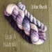 Lilac Bush Sock Set