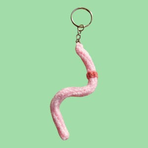 May include: A pink crocheted worm keyring with a red band around the middle. The keyring is attached to a silver key ring.