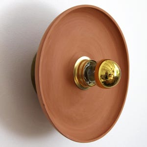 Peut inclure: Une applique murale moderne avec un abat-jour circulaire de couleur terre cuite. Le luminaire a une base de couleur laiton et un support d'ampoule en verre transparent avec une ampoule dorée. Le design est minimaliste et artistique.