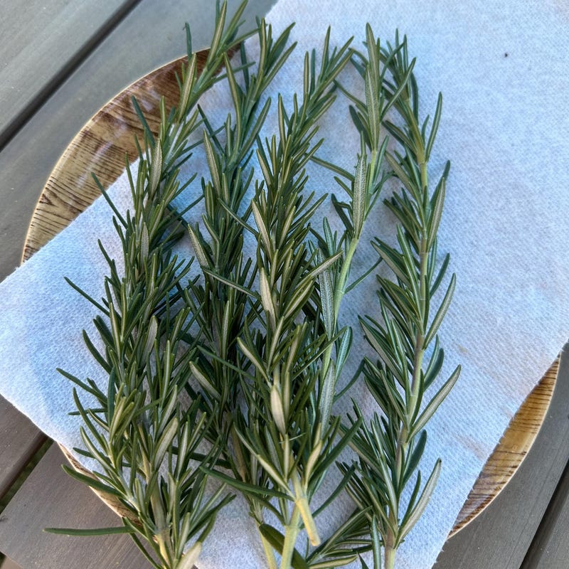 Rosemary Sage - Etsy