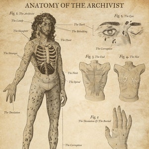 Anatomy of The Archivist 11x14 Print - The Magnus Archives