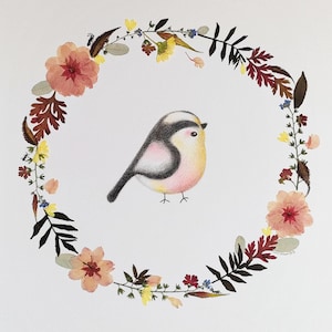 Illustration de Sanhua -la mésange Titmouse