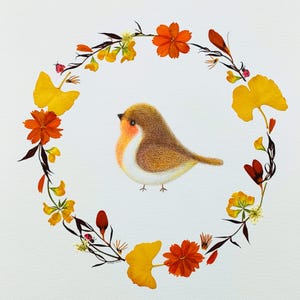 Illustratie van Sanhua - De Robin