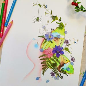Illustration avec herbier fleurs séchée de Sanhua - Rêve de papillon vert