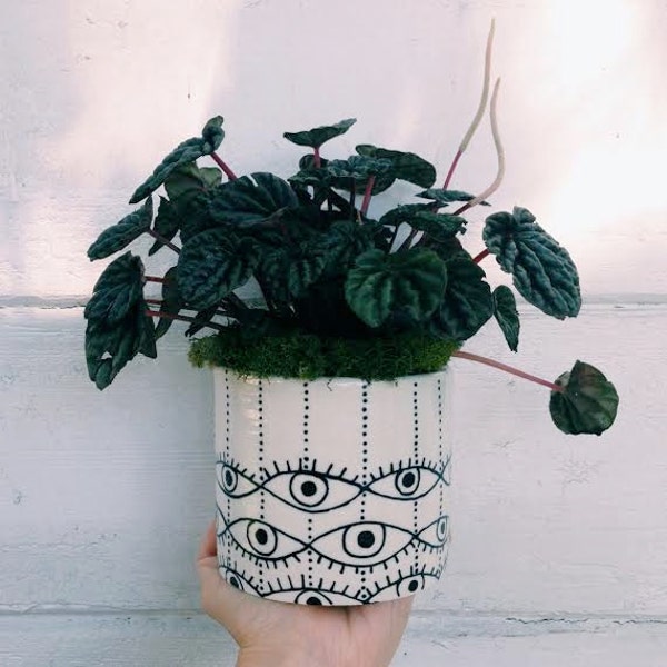 Spotted Eyes Planter: black, white, eyes, and dots