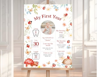 Lady Bug Milestone Board, Editable Love Bug First Milestone Sign, My First Year Birthday Milestone, Milestone Red Ladybug Party Decor BD11