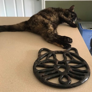 Ceramic cat trivet-functional cat decor-custom cat gift image 10