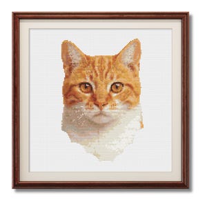 Könnte beinhalten: Gerahmtes Kreuzstichporträt einer rot getigerten Katze mit weißen Abzeichen. Das Gesicht der Katze ist zentriert und zeigt ihr orange-weißes Fell, bernsteinfarbene Augen und detaillierte Stickereien. Der Rahmen ist dunkelbraun.