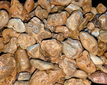 Crowley&#39;s Ridge Agate Raw Stones: Tumbling Rocks