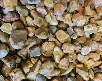 Tennessee Paint Rock: Raw Jasper Agate Stones for Tumbling