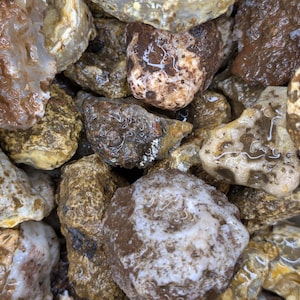 May include: A close-up view of a collection of polished stones. The stones vary in color, including shades of brown, tan, and white, with some displaying intricate patterns and textures. The stones appear smooth and rounded, suggesting they have been tumbled.