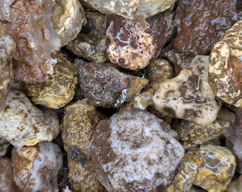 Ágata Calandria en Bruto (Nódulos) / Ágata Lapidaria de Alta Calidad en Bruto / Pulido y Tallado de Rocas /