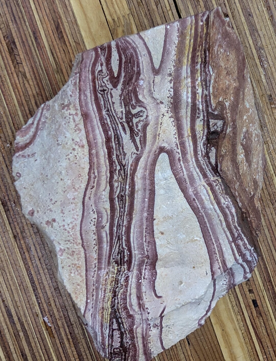 Utah Wonderstone Lapidary Rough | Large Banded Rhyolite Stone for ...