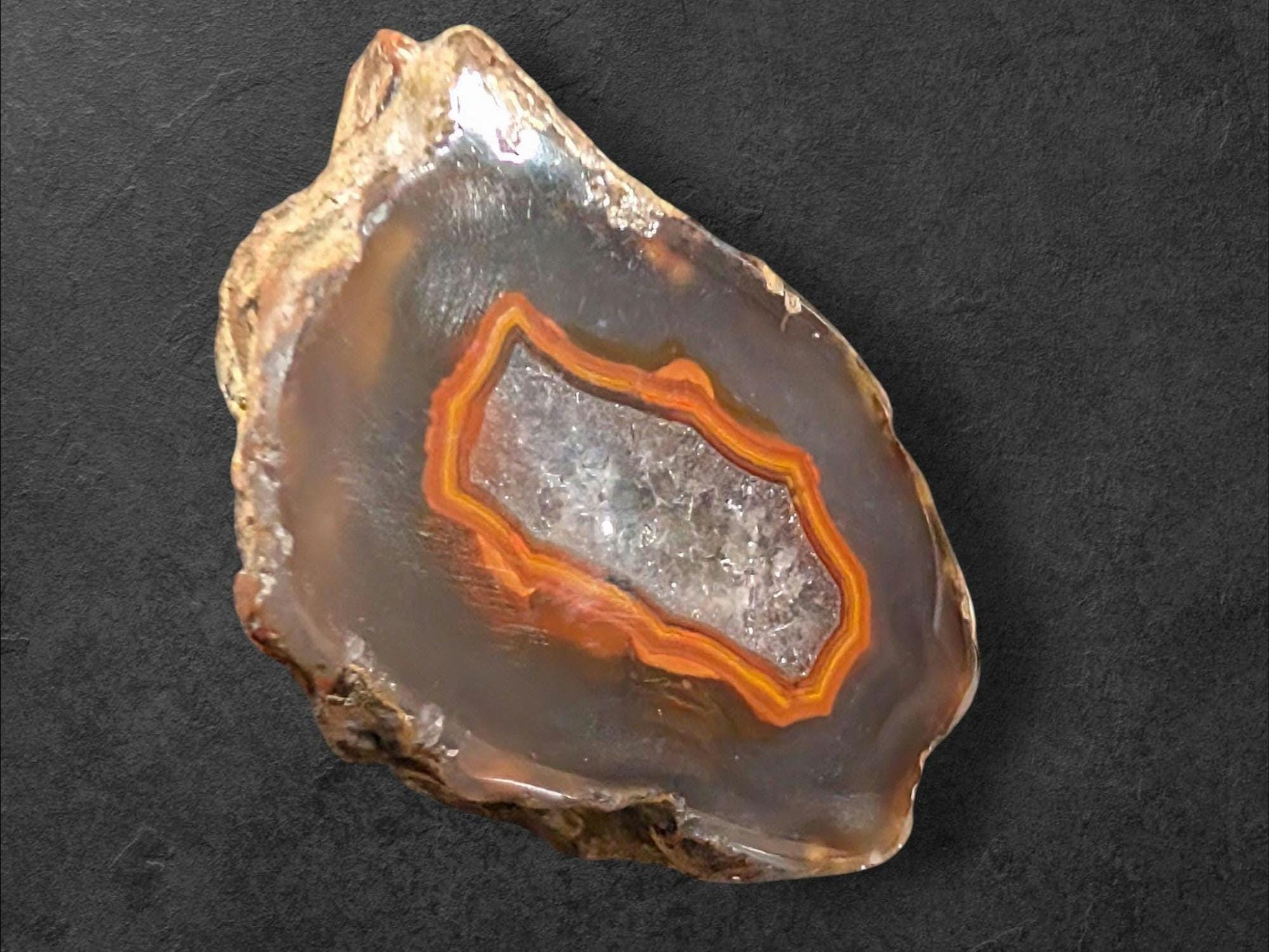 【コレクターズアイテム】コンドルアゲート コンドルアゲートコレクター標本：鏡面研磨縞状アゲート