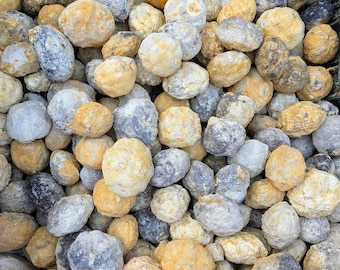 Moroccan Geodes - Break Your Own - Quartz/Calcite - Rough Natural Specimens (Sold by the Pound)
