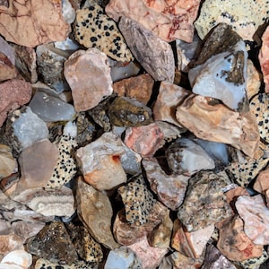 Puede incluir: Una colección de varios tipos de piedras pulidas, incluyendo jaspe dálmata, ágata y jaspe. Las piedras son una mezcla de colores marrón, blanco, negro y rojo.