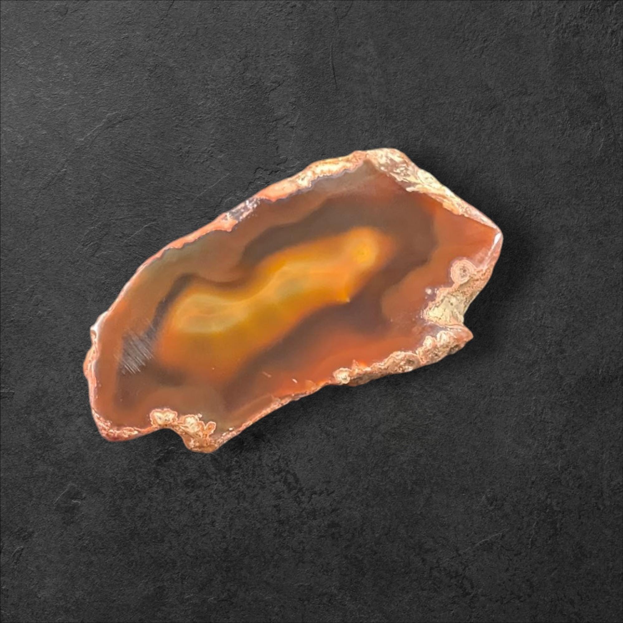 【コレクターズアイテム】コンドルアゲート コンドルアゲートコレクター標本：鏡面研磨縞状アゲート、アルゼンチン