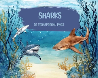 Watercolor Shark Clipart, Shark Illustrations, Ocean Animals Clipart, Sea Life Clipart, Underwater Clipart, Marine Life Clipart, Shark Art