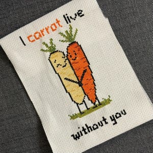I Carrot Live Without You – Valentijnsdag kruissteekpatroon digitale download van een getelde x-steekpatroon