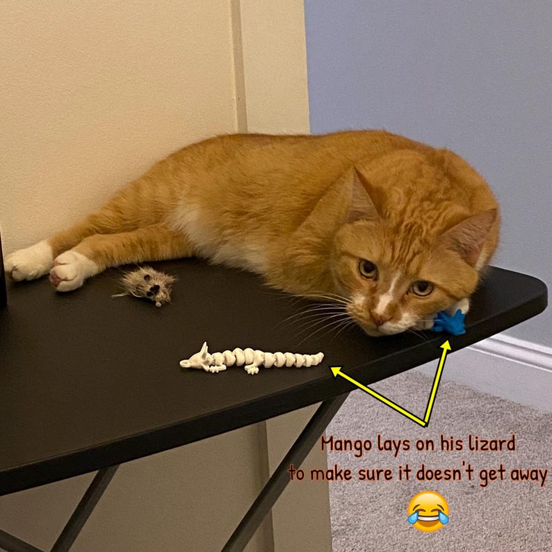 May include: A ginger cat lays on a black table with a white lizard toy and a small fuzzy toy mouse. The cat is looking at the lizard toy. The text "Mango lays on his lizard to make sure it doesn't get away" is written below the cat. A laughing emoji is below the text.